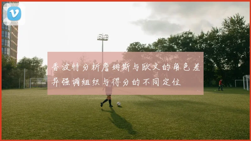 香波特分析詹姆斯与欧文的角色差异强调组织与得分的不同定位