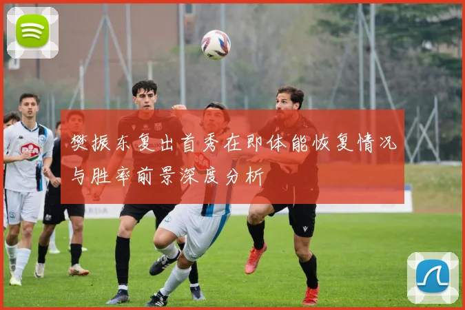 樊振东复出首秀在即体能恢复情况与胜率前景深度分析